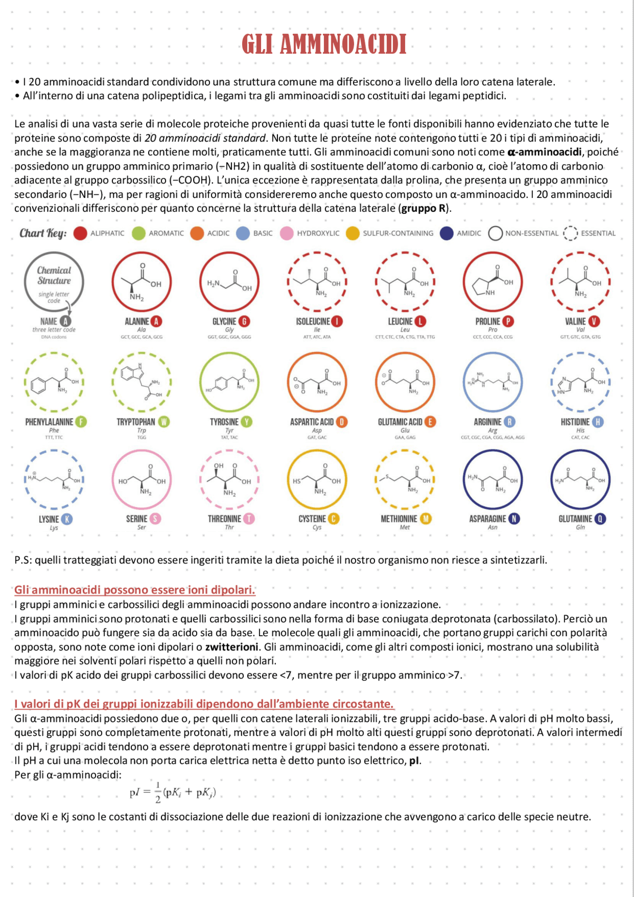 Biochimica corso completo Appunti di Biochimica Docsity