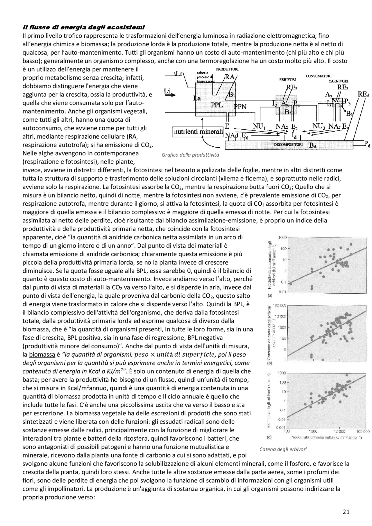 Appunti su flusso di energia e catene alimentari in ecologia | Appunti ...