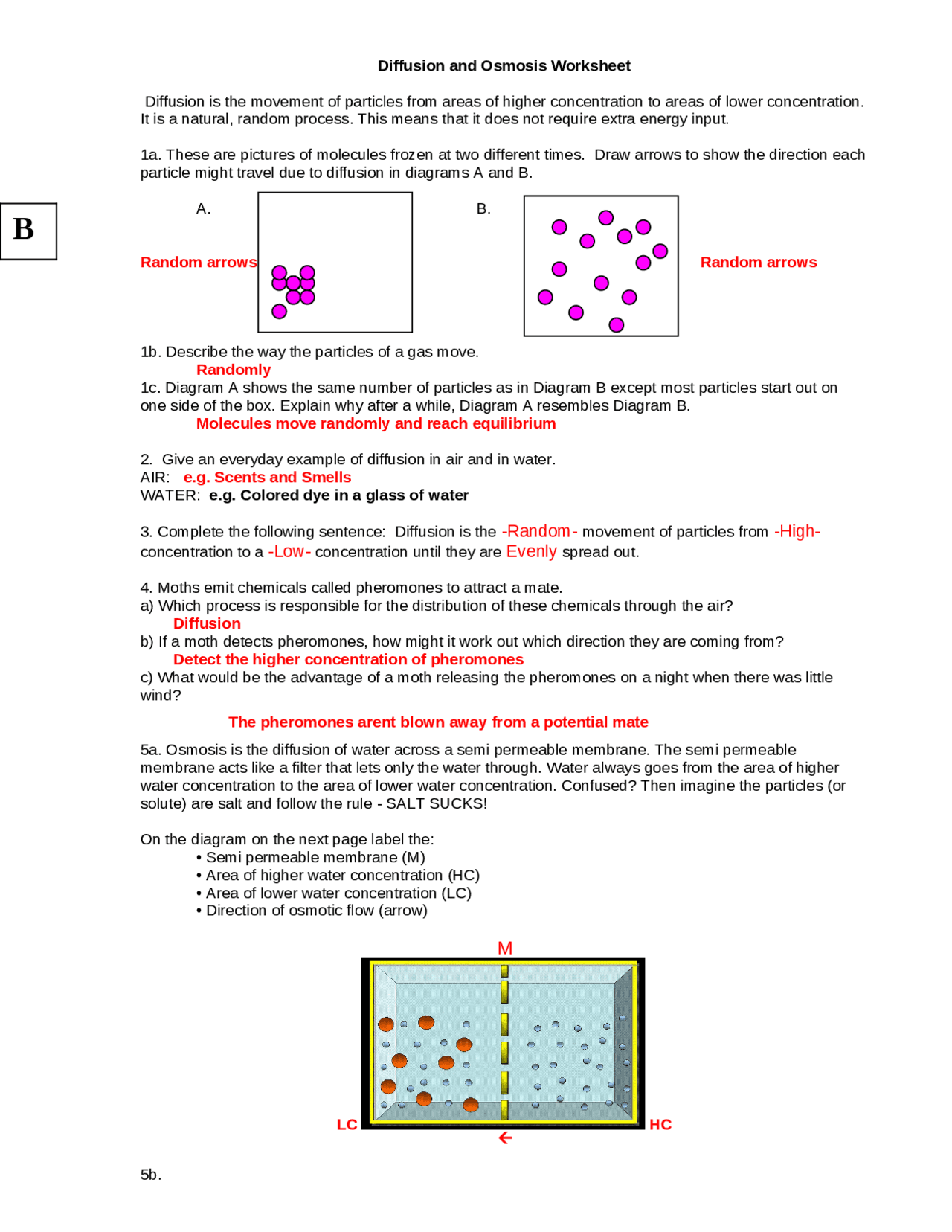 Practice with Monohybrid punnett squares | Study Guides, Projects ...