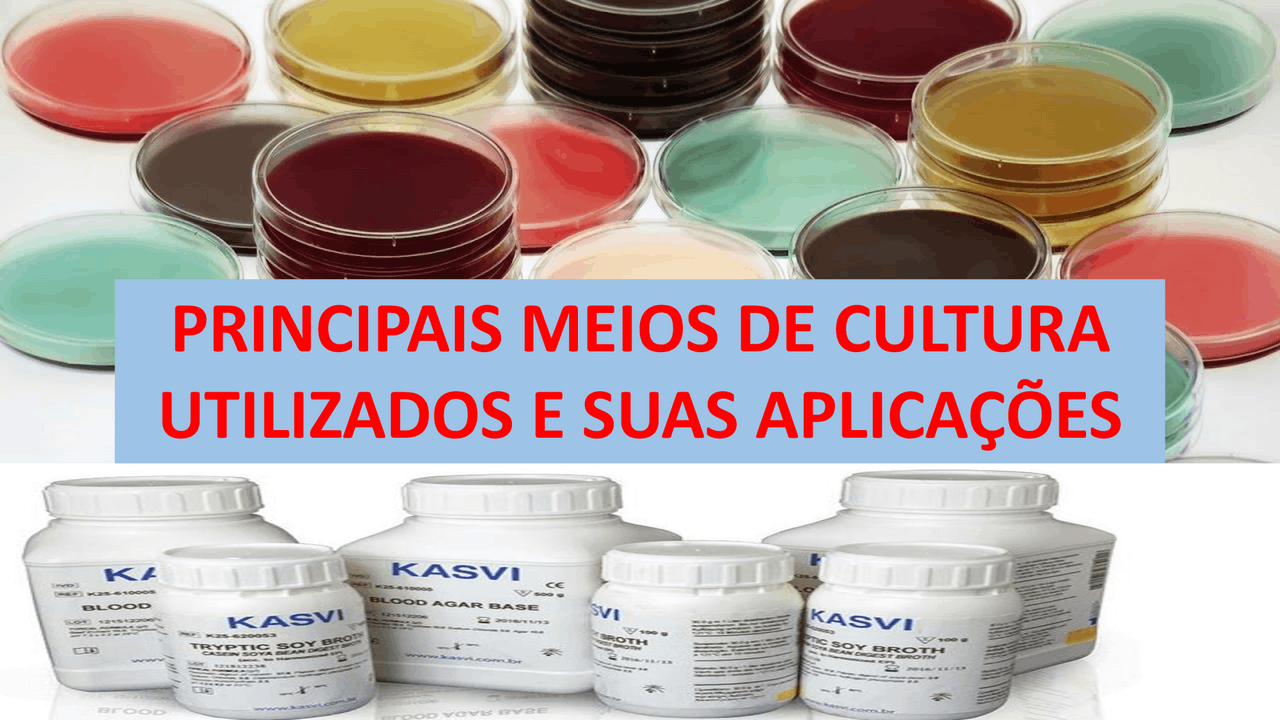 Tipos De Meio De Cultura - FDPLEARN