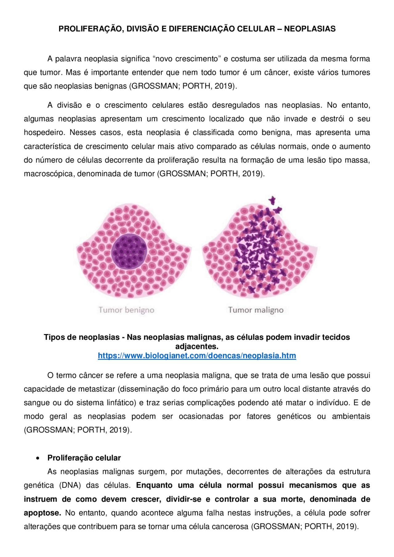 PROLIFERAÇÃO, DIVISÃO E DIFERENCIAÇÃO CELULAR – NEOPLASIAS | Notas de ...