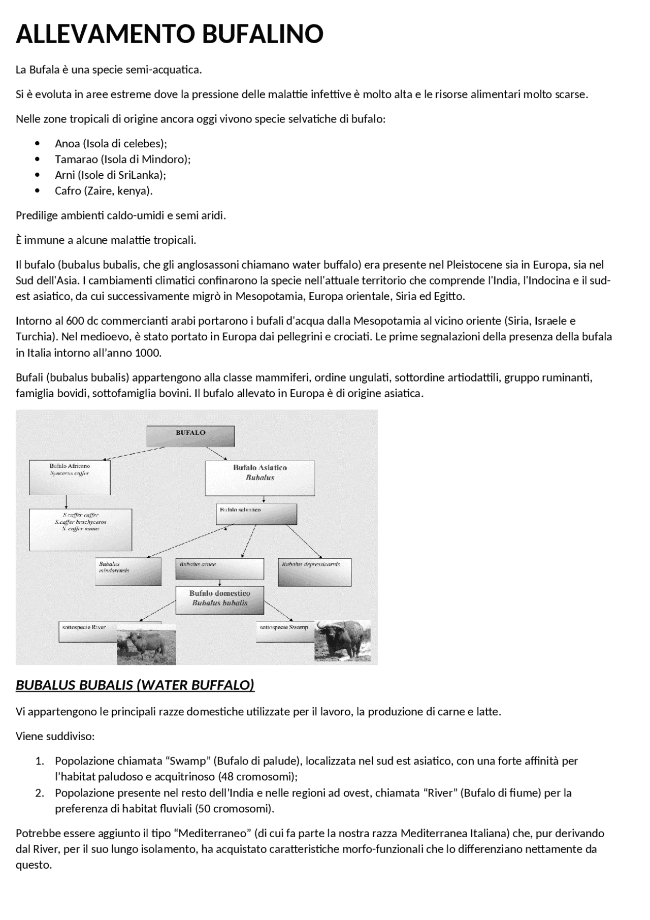 Allevamento bufalino | Sbobinature di Biologia Animale | Docsity