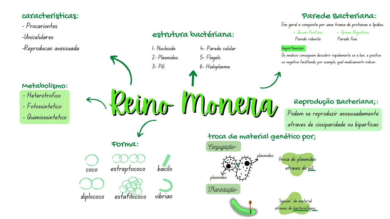 Mapa Mental Reino Monera REVOEDUCA mapa-mental-reino-monera-revoeduca