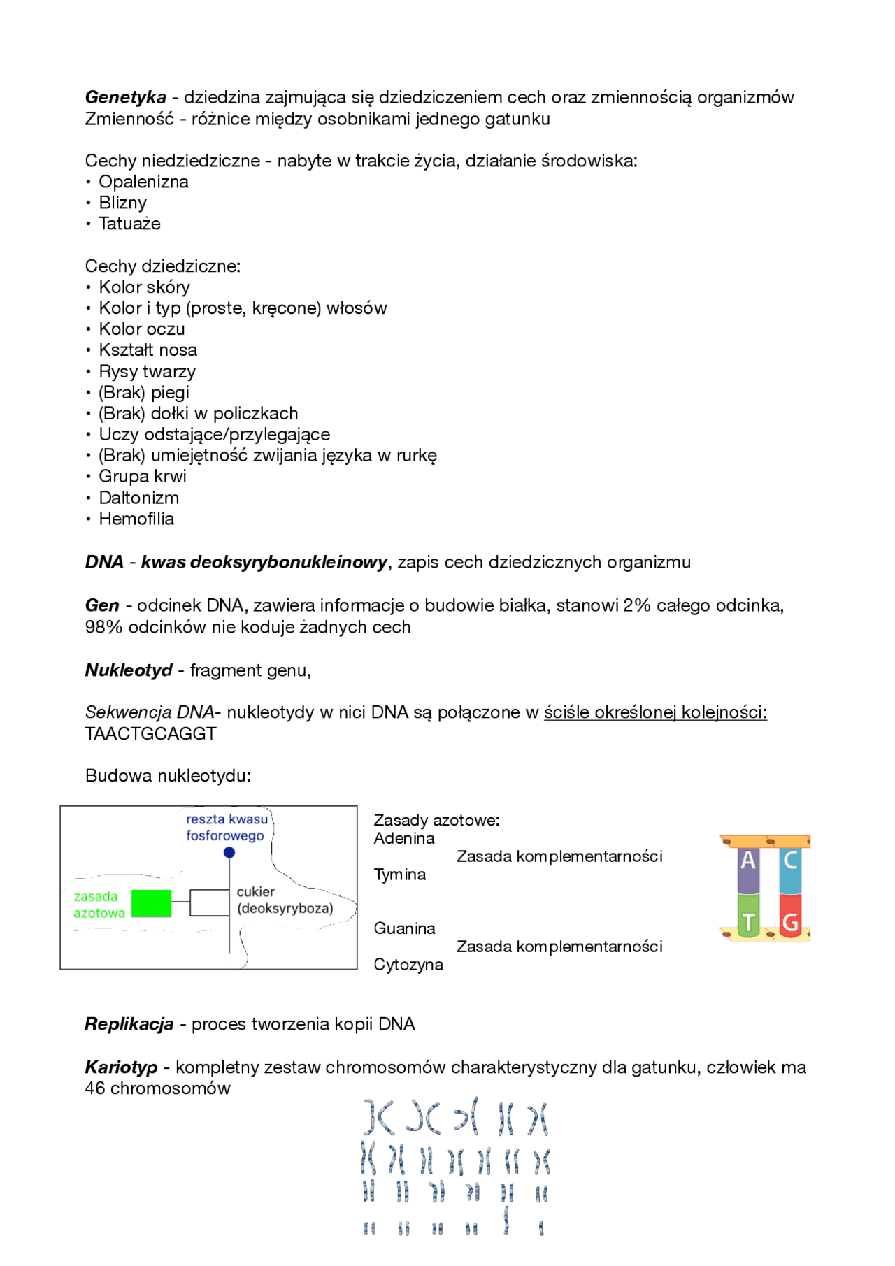 Genetyka notatka klasa 8 | Notatki Biologia | Docsity