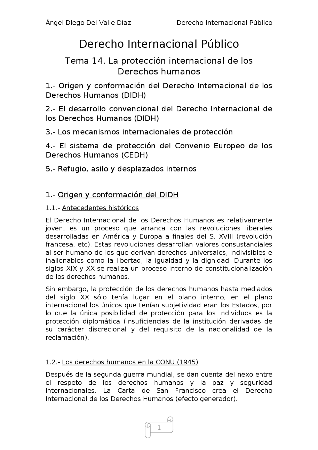 Tema 14: La protección internacional de los derechos humanos | Apuntes ...