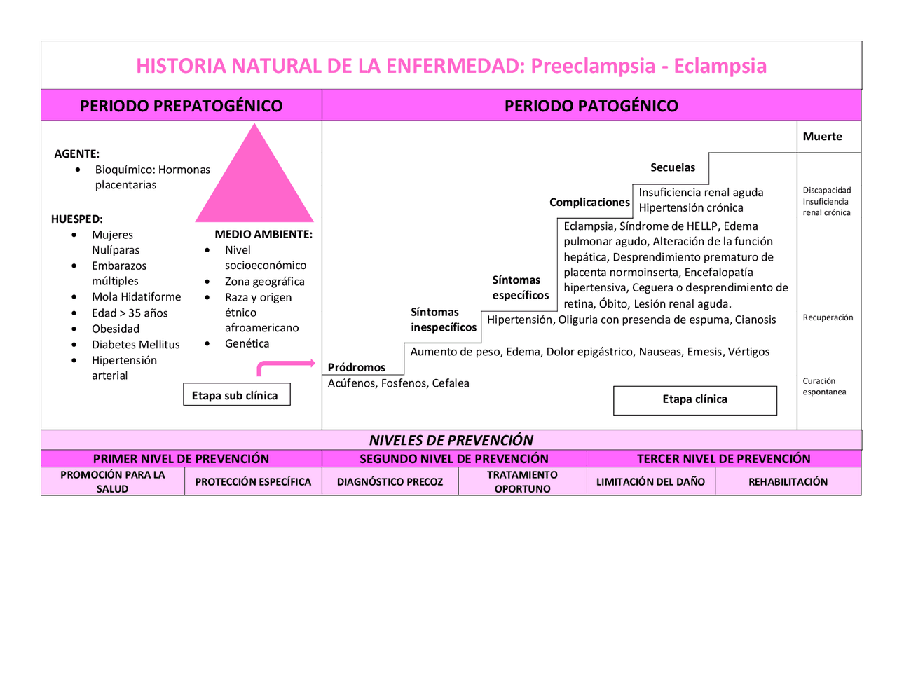 Historia Natural De La Enfermedad Preeclampsia
