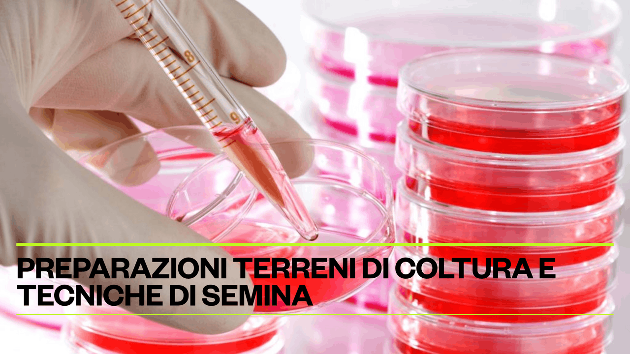 PREPARAZIONI TERRENI DI COLTURA E TECNICHE DI SEMINA | Slide di