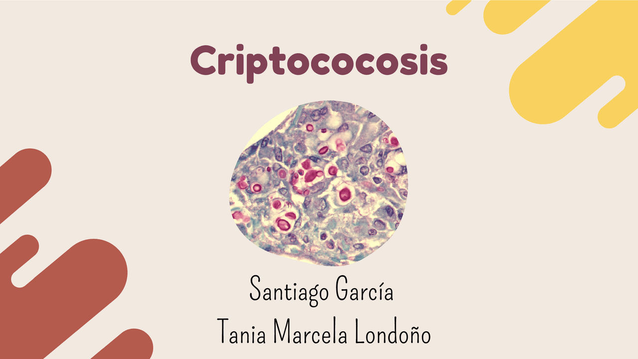 Criptococosis y su explicación | Diapositivas de Farmacología | Docsity