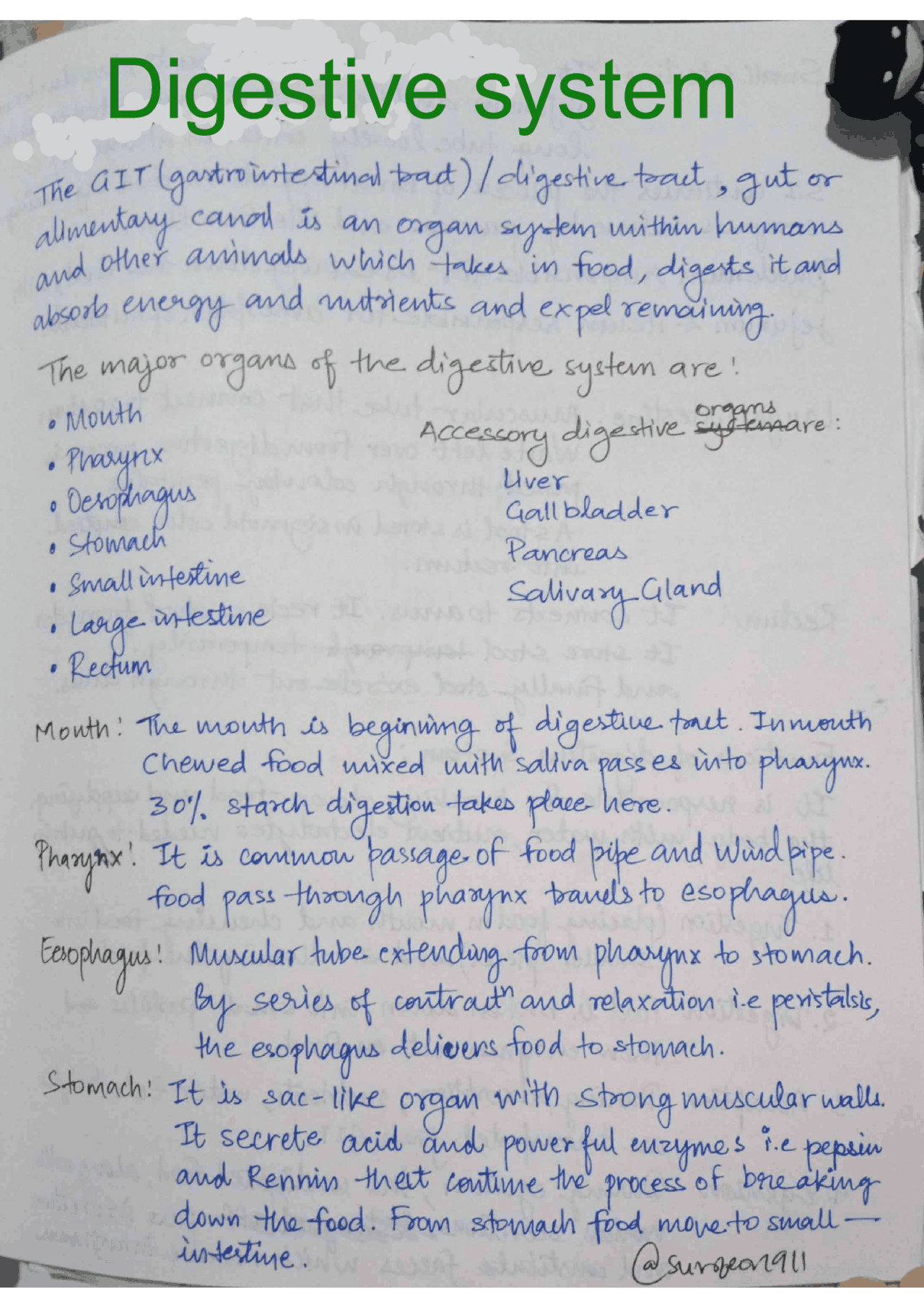 Digestive system notes | Study Guides, Projects, Research Medical ...