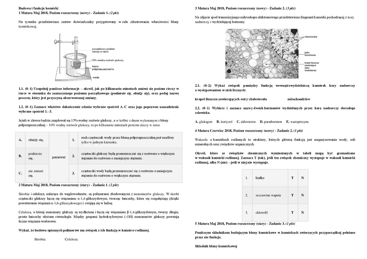 Biologia Komórka budowa mitoza mejoza | Egzaminy Biologia | Docsity