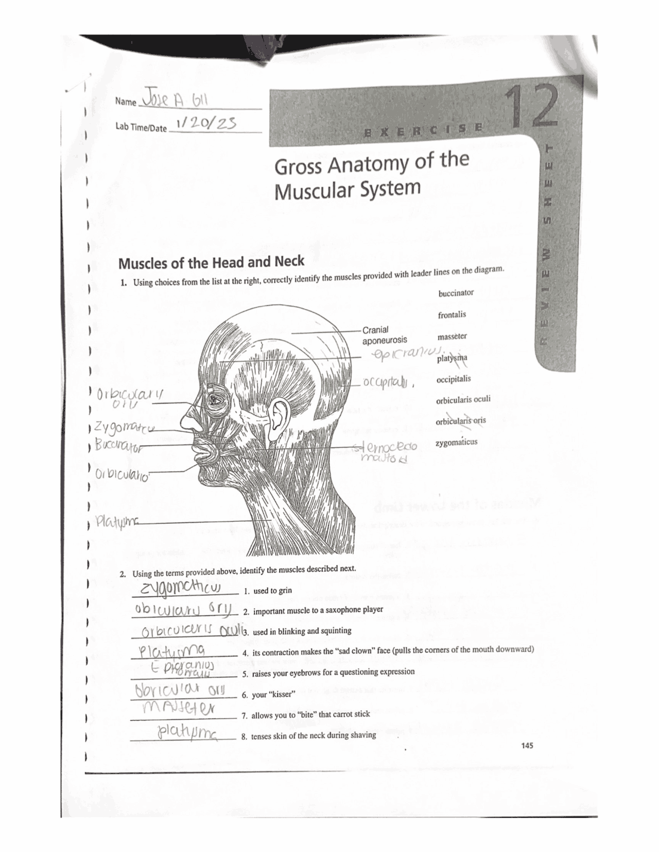 Lab anatomy exercise 12 | Assignments Anatomy | Docsity