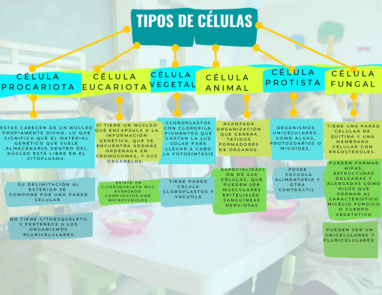 Tipos de celulas en la naturaleza | Apuntes de Biología | Docsity