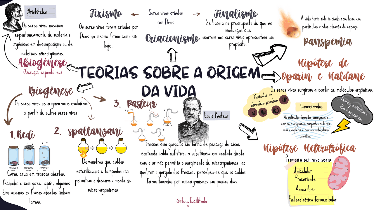 MAPA MENTAL- ORIGEM DA VIDA | Esquemas Biologia | Docsity