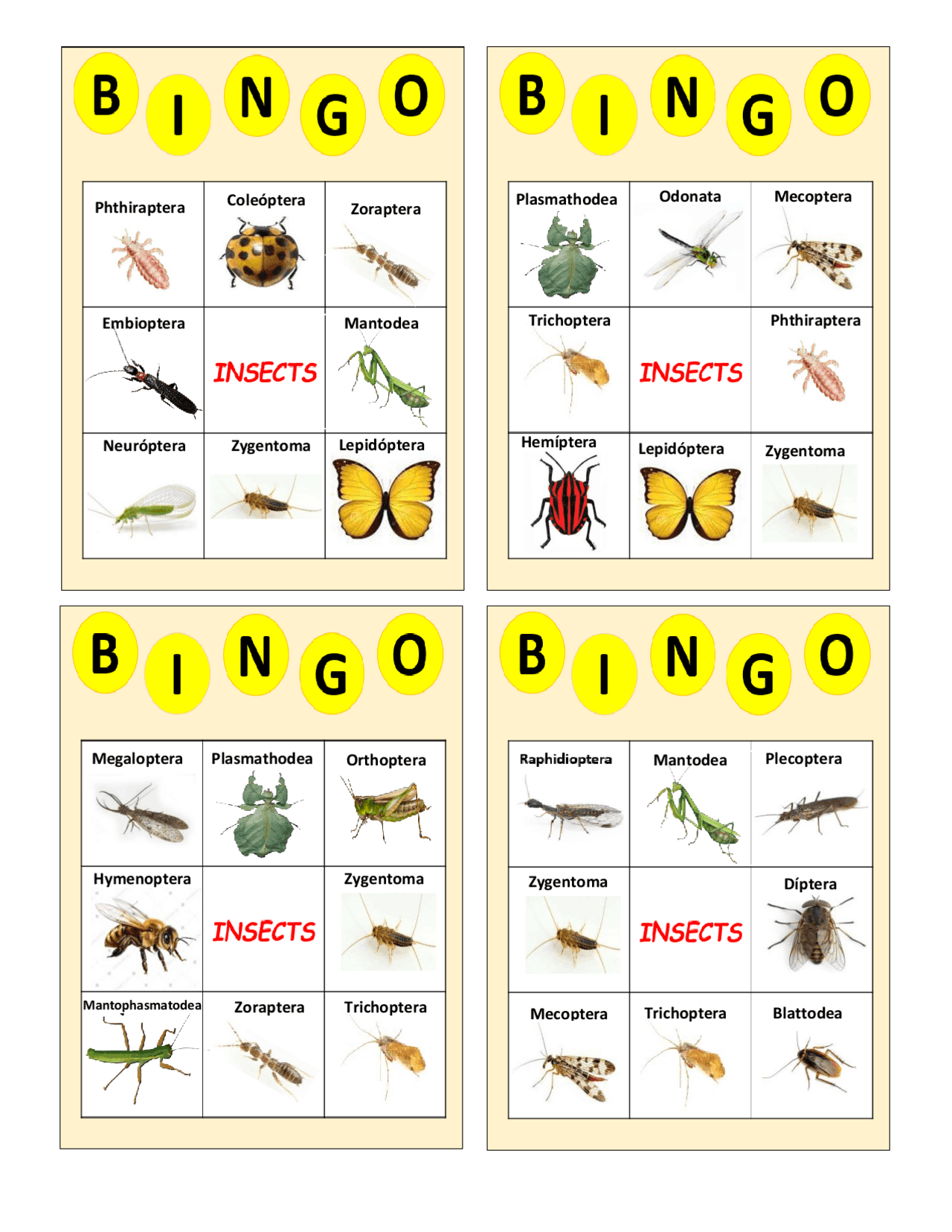 BINGO CON LAS DIFERENTES ORDENES DE INSECTOS MATERIAL DIDACTICO PARA EL ...