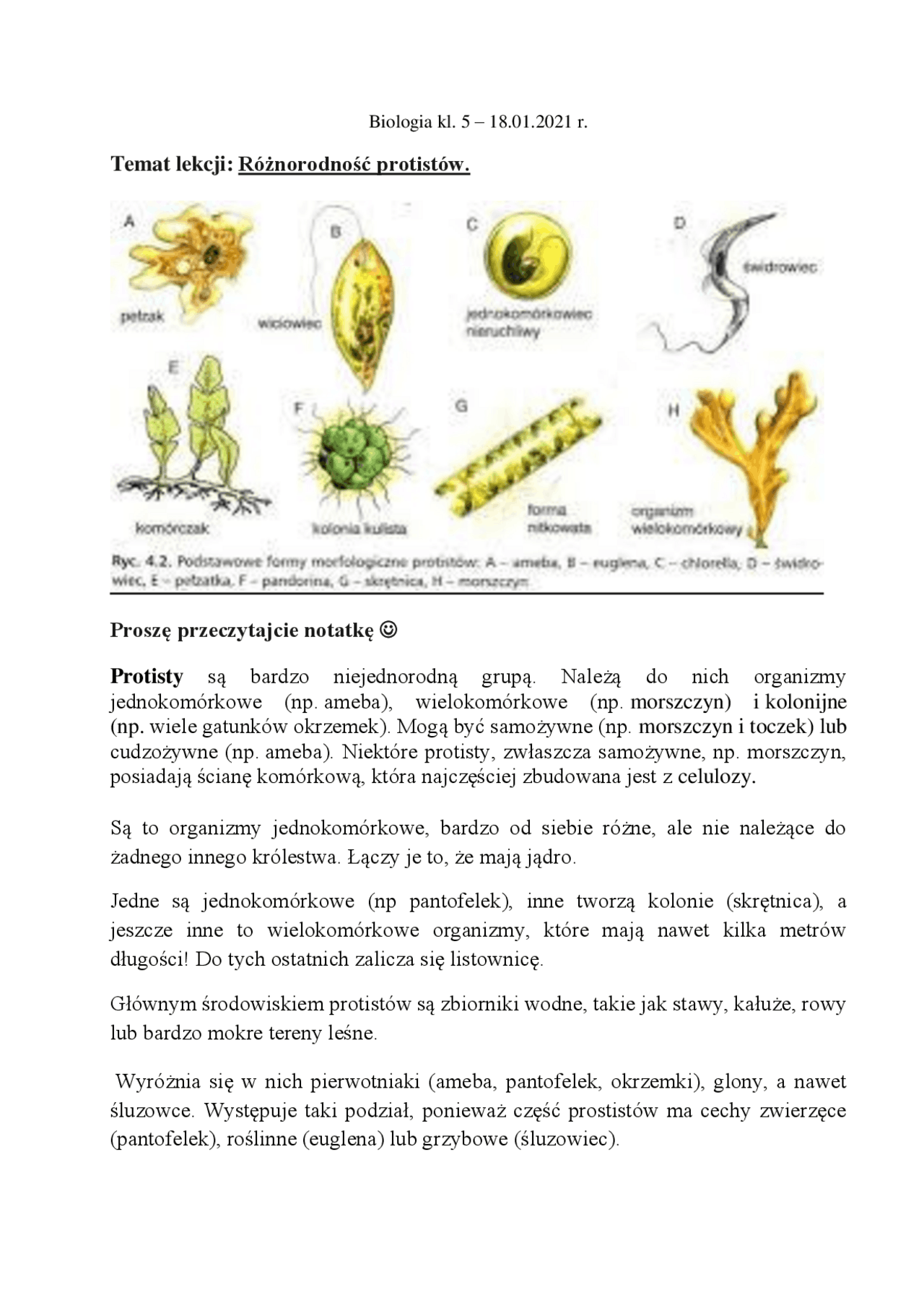 Sprawdzian Z Biologi Z Różnorodności Wirusów Grzybów Protistów Balteri