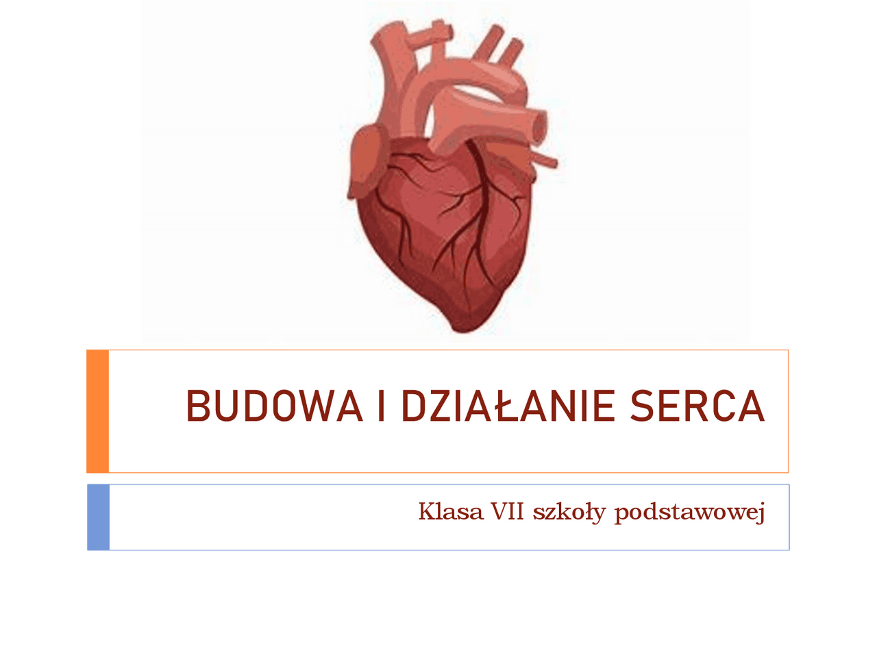 BUDOWA I DZIAŁANIE SERCA | Schematy Anatomia | Docsity