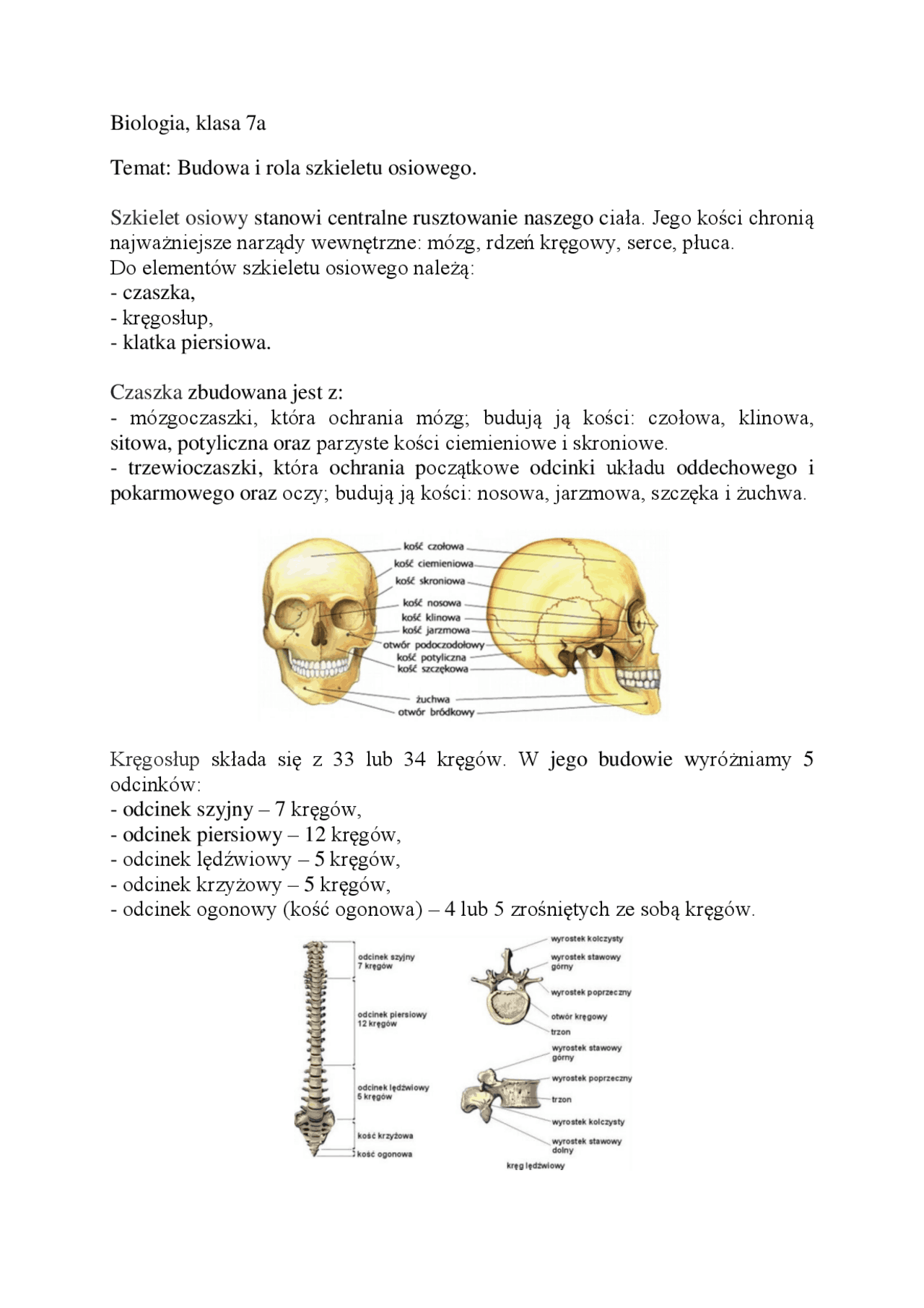 Biologia, klasa 7a Temat: Budowa i rola szkieletu osiowego