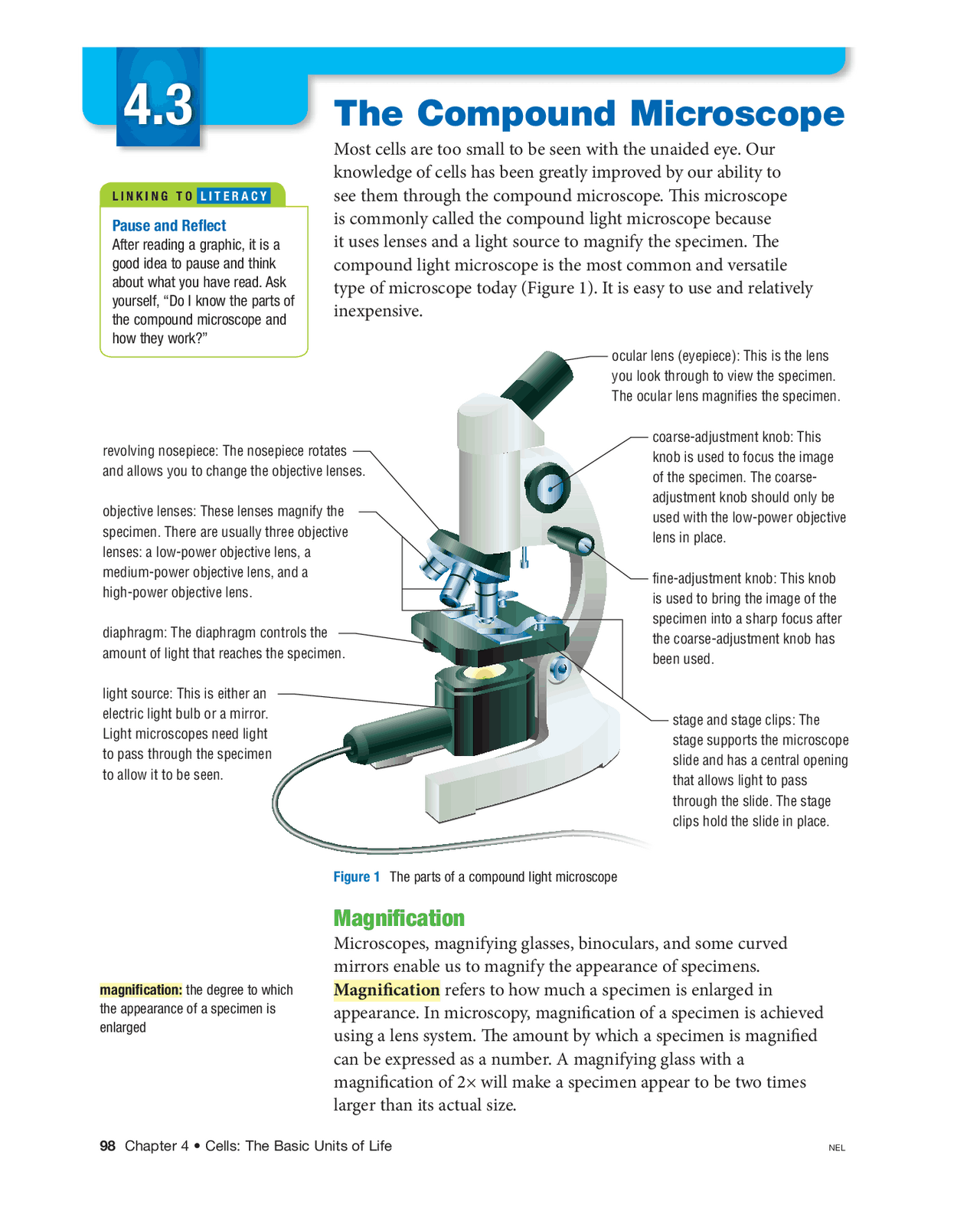 The Compound Microscope | Exercises Biology | Docsity