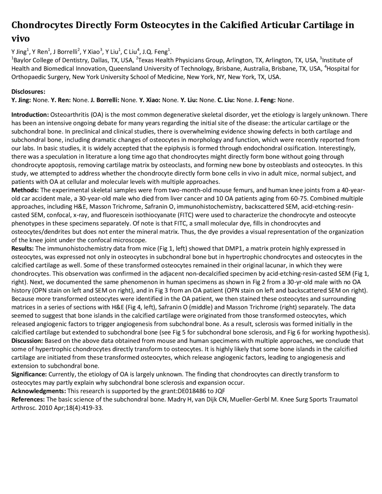 The Key To Strong Bones: Understanding Osteocytes And Chondrocytes - tblshnz