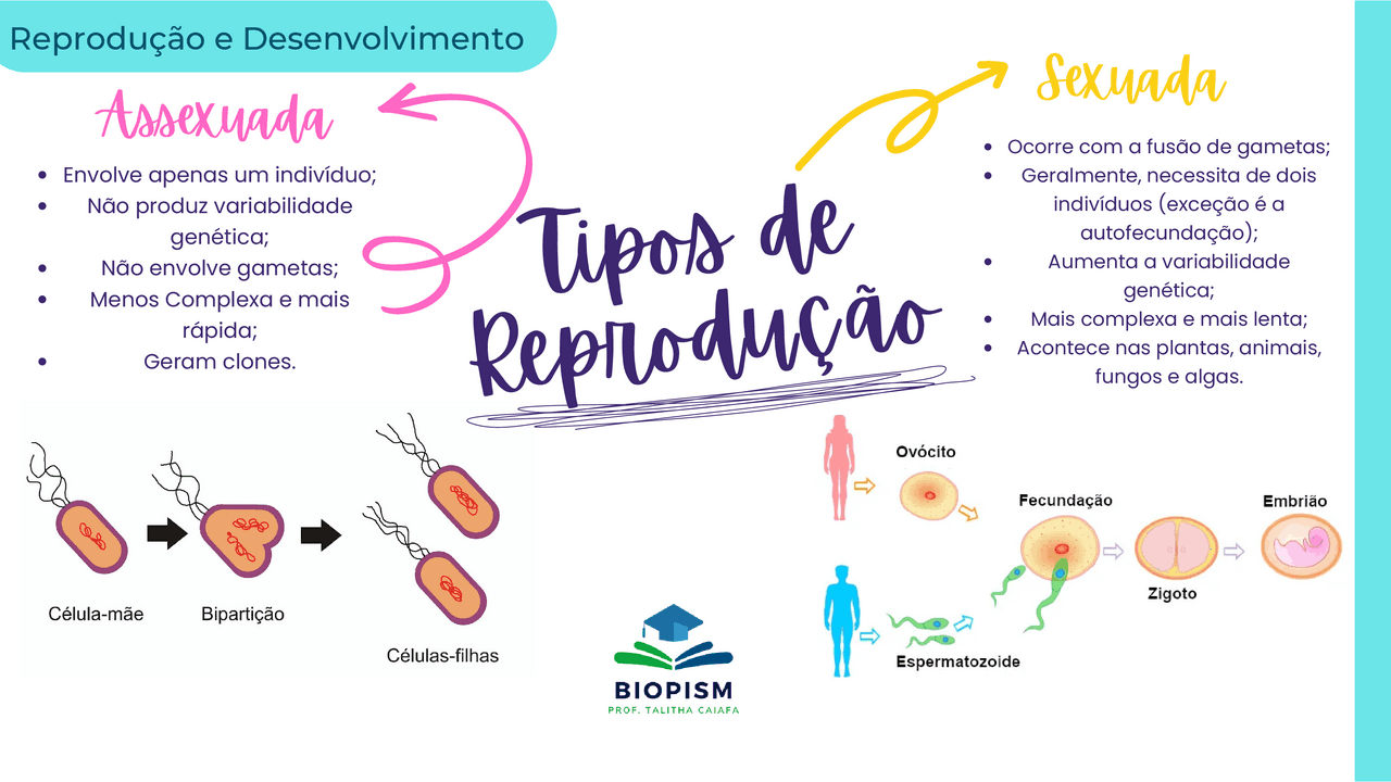 Mapa Mental Reprodução Dos Seres Vivos - FDPLEARN