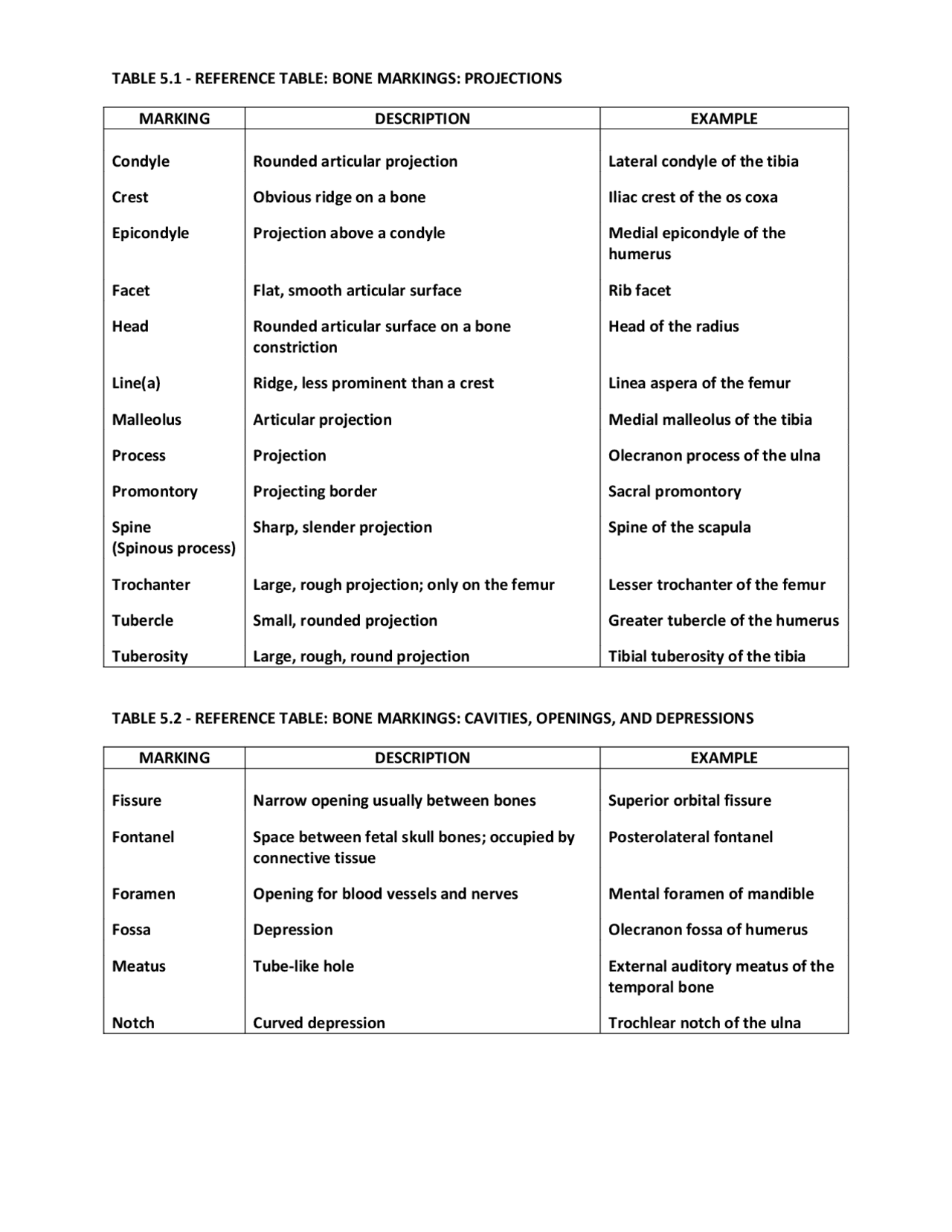 Reference Table: Bone Markings: Projections | Lecture notes Anatomy ...