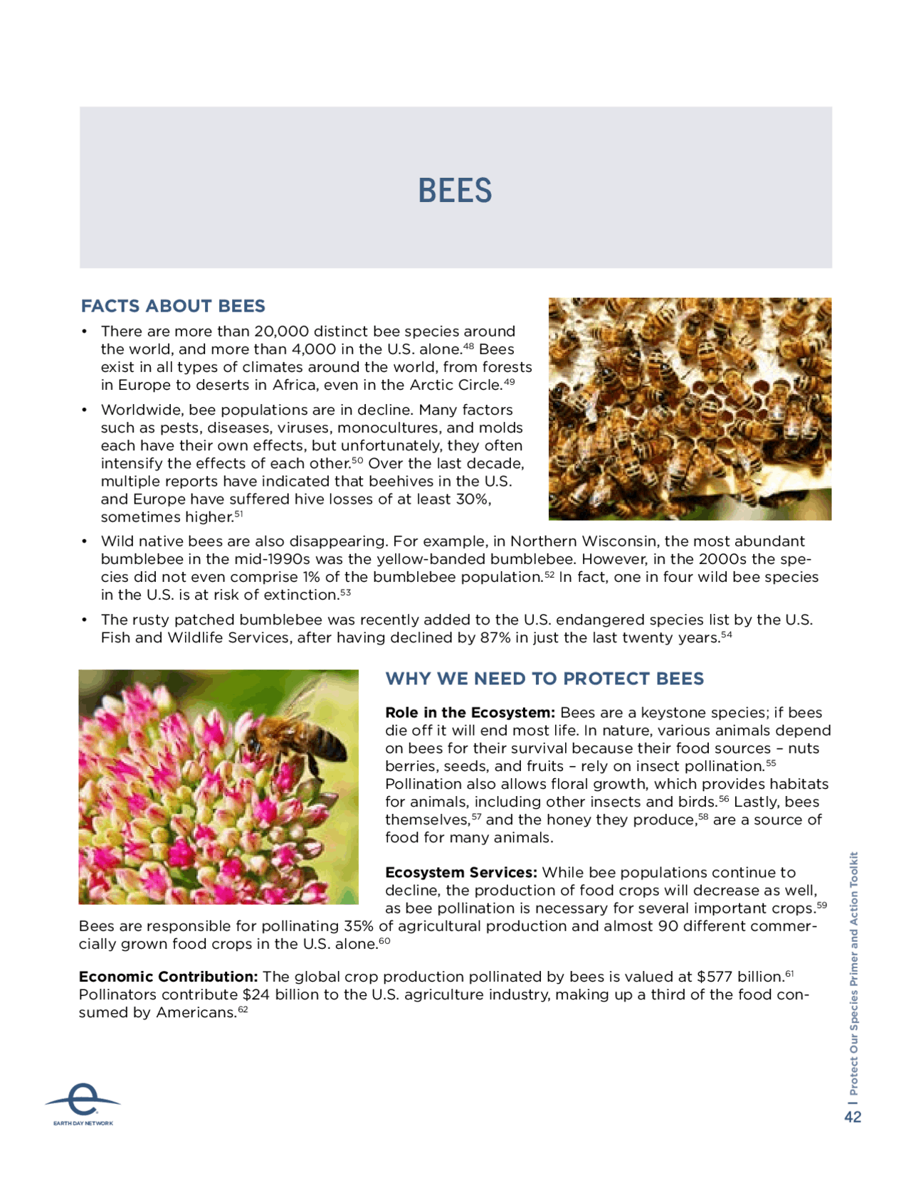 BEES | EarthDay.org | Slides Ecosystem Modelling | Docsity