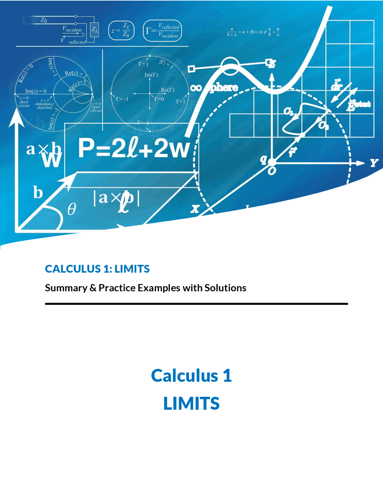 Calculus 1: Limits Study Notes | Study notes Mathematics | Docsity