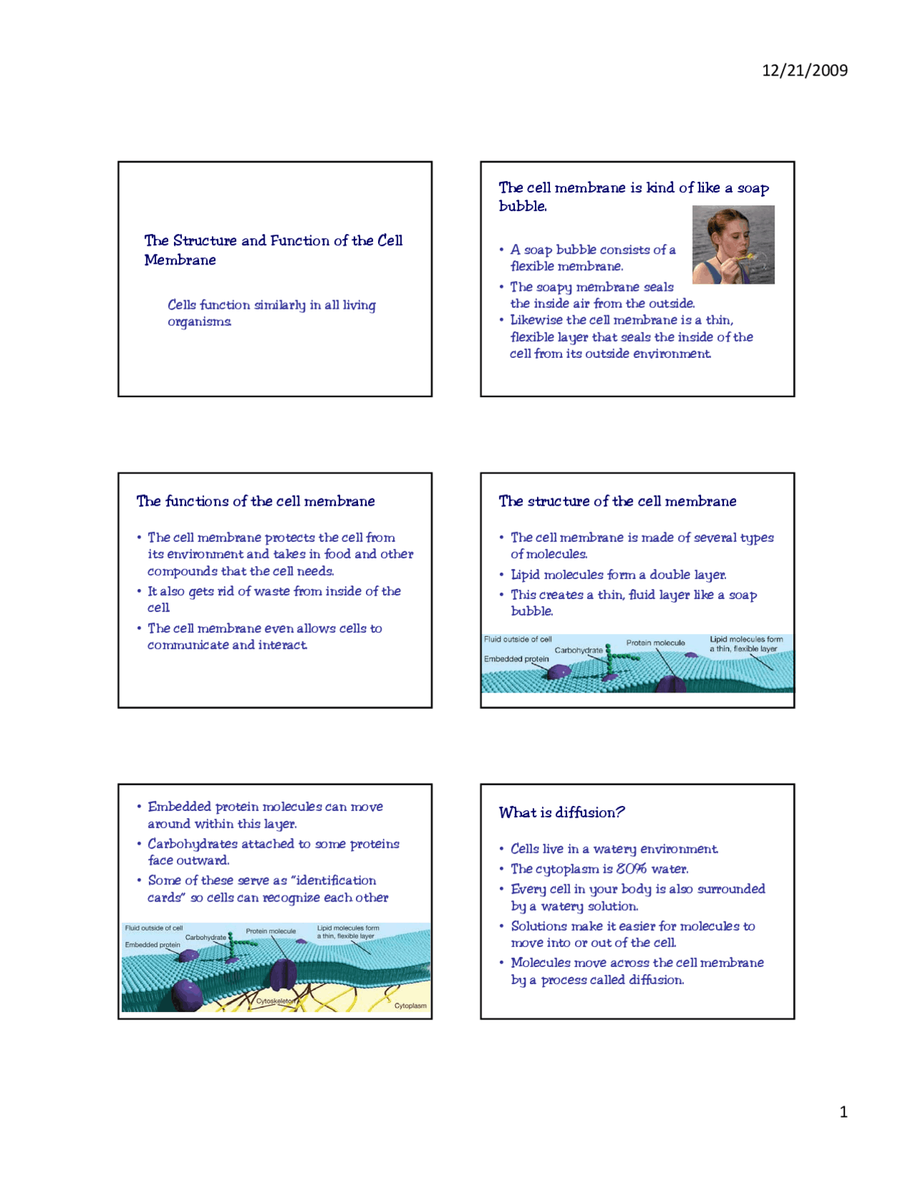 The Structure and Function of the Cell Membrane | Exercises Cell ...