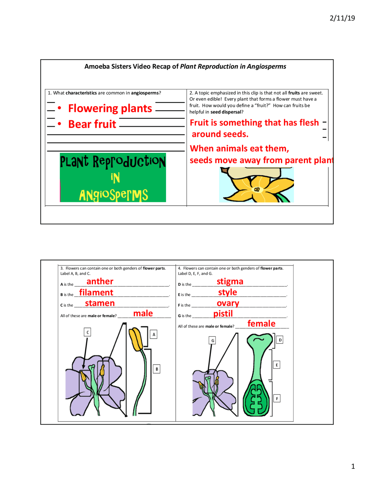 Angiosperm Reproduction Notes Video Recap of Plant Reproduction in Angiosperms | Study notes Biology ...