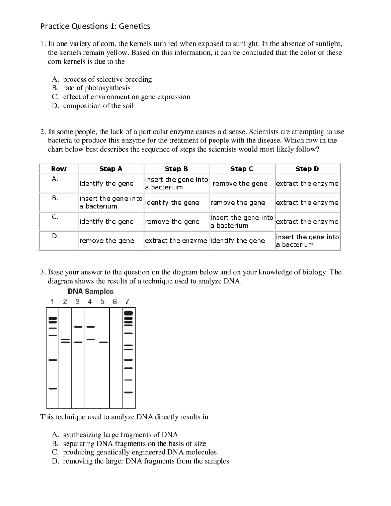 Practice Questions 1: Genetics | Exams Genetics | Docsity