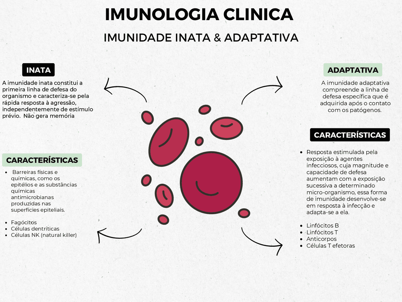 Mapa Mental Imunidade Inata E Adaptativa - RETOEDU