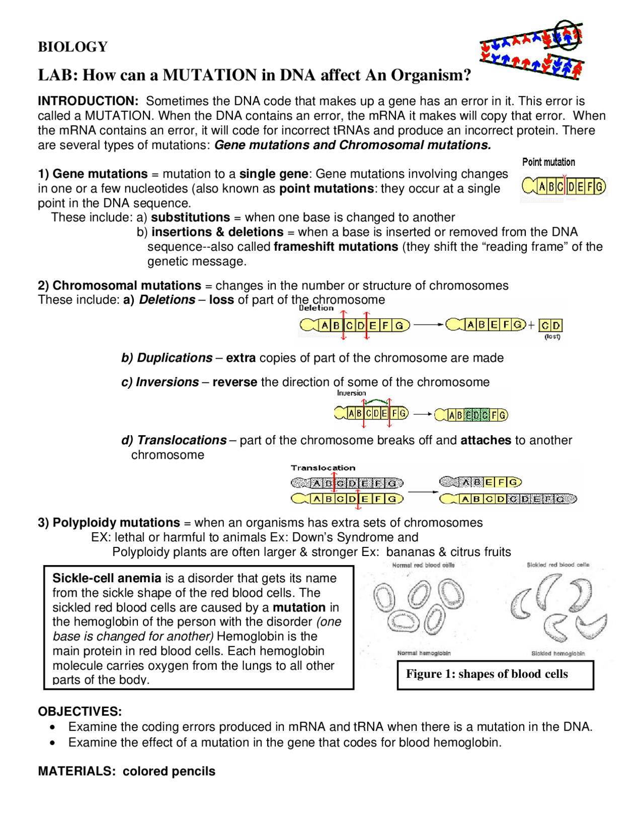 Lab How can a mutation in DNA affect an Organism | Schemes and Mind ...