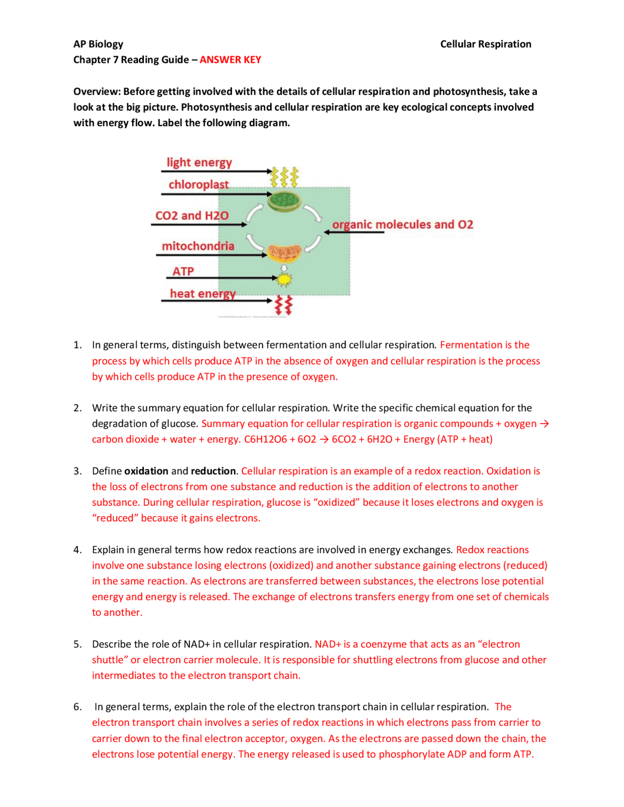 Ap Bio Chapter 7 AP Biology Cellular Respiration Chapter 7 Reading Guide | Exams Biology ...