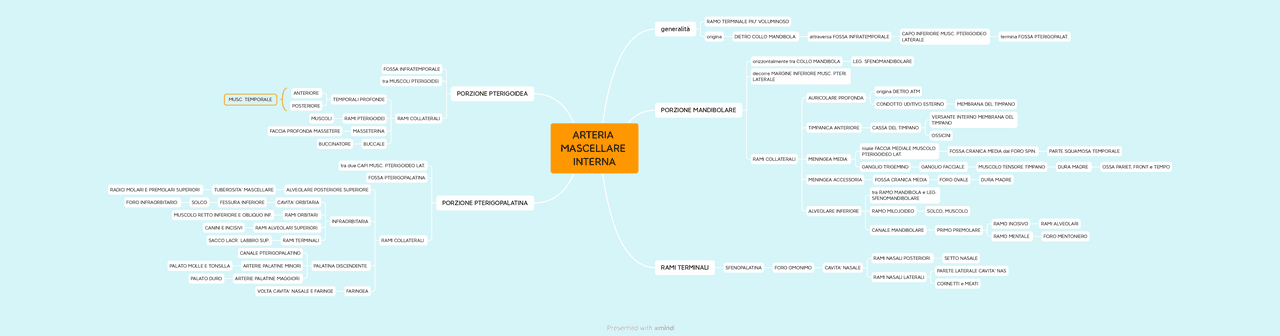 ARTERIA MASCELLARE INTERNA Schemi e mappe concettuali di Anatomia
