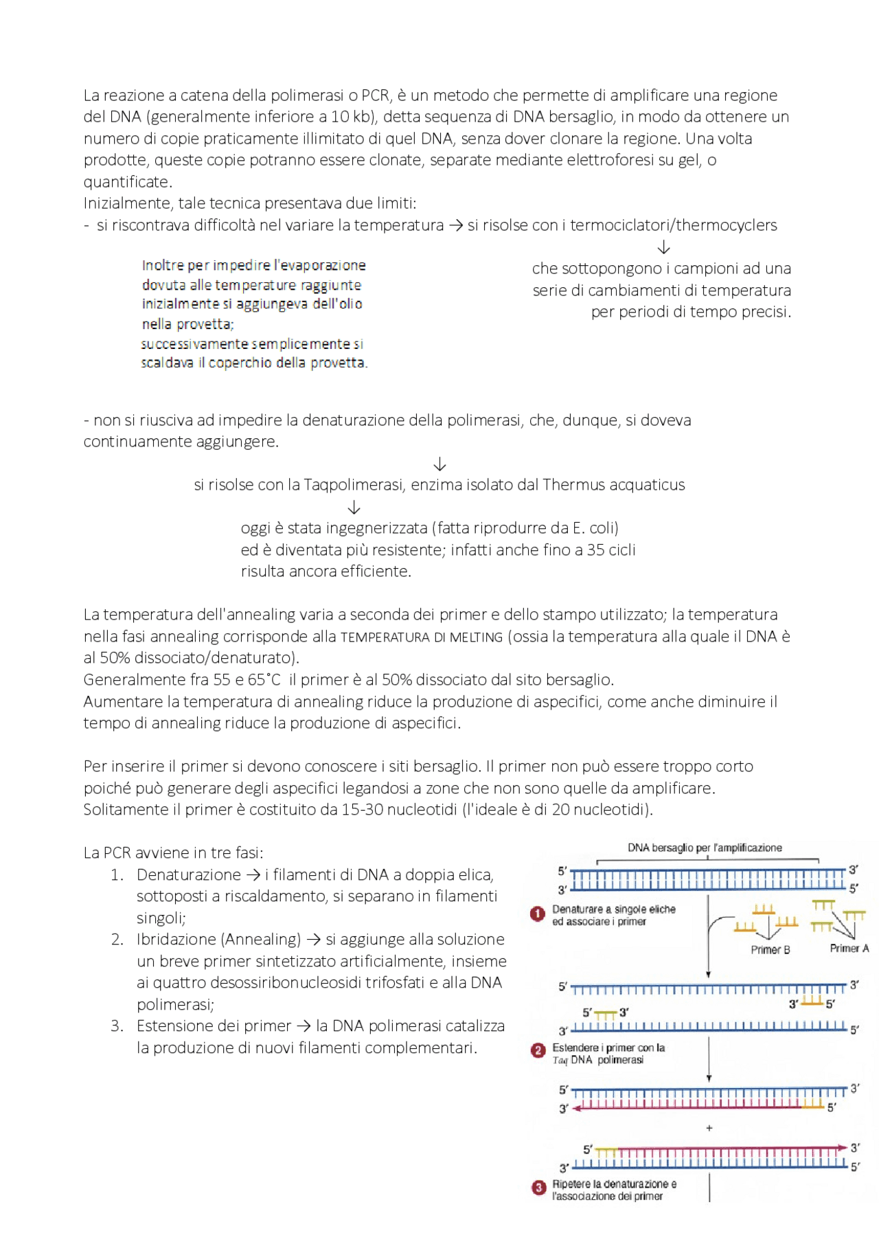 La reazione a catena della polimerasi o PCR Dispense di