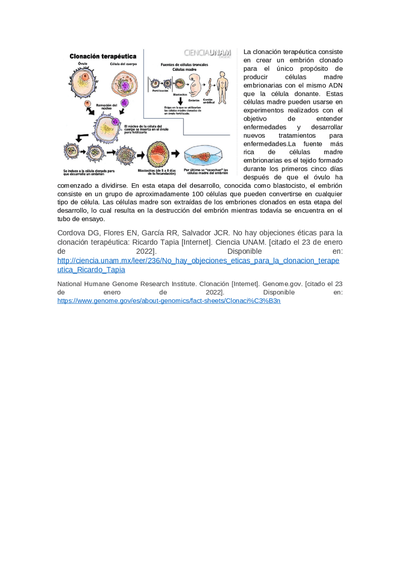 CLONACION TERAPEUTICA Resúmenes de Lenguaje y práctica musical Docsity
