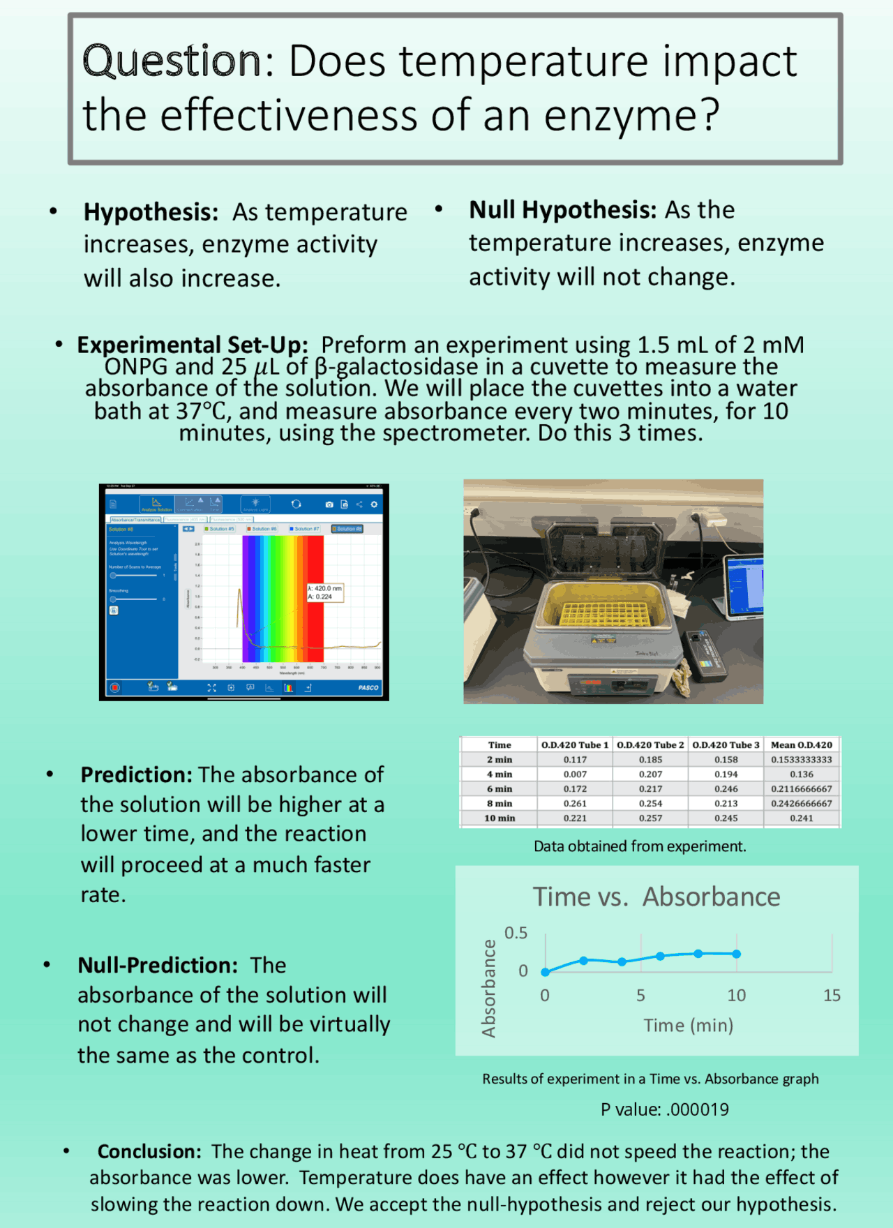 Graphic Summary Bio Lab Lab Reports Biology Docsity graphic-summary-bio-lab-lab-reports-biology-docsity