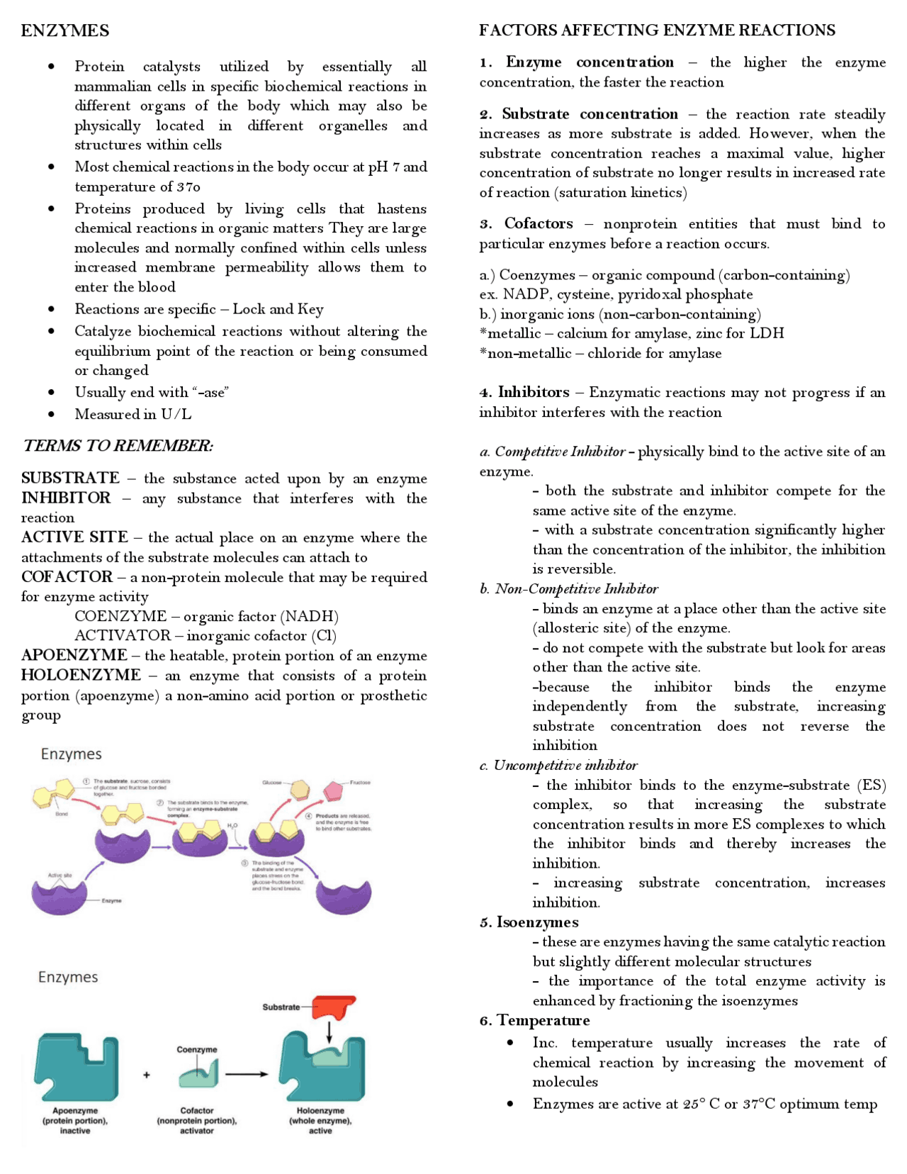 Enzyme Notes.pdf Enzymes Clinical Chemistry | Study notes Clinical chemistry | Docsity