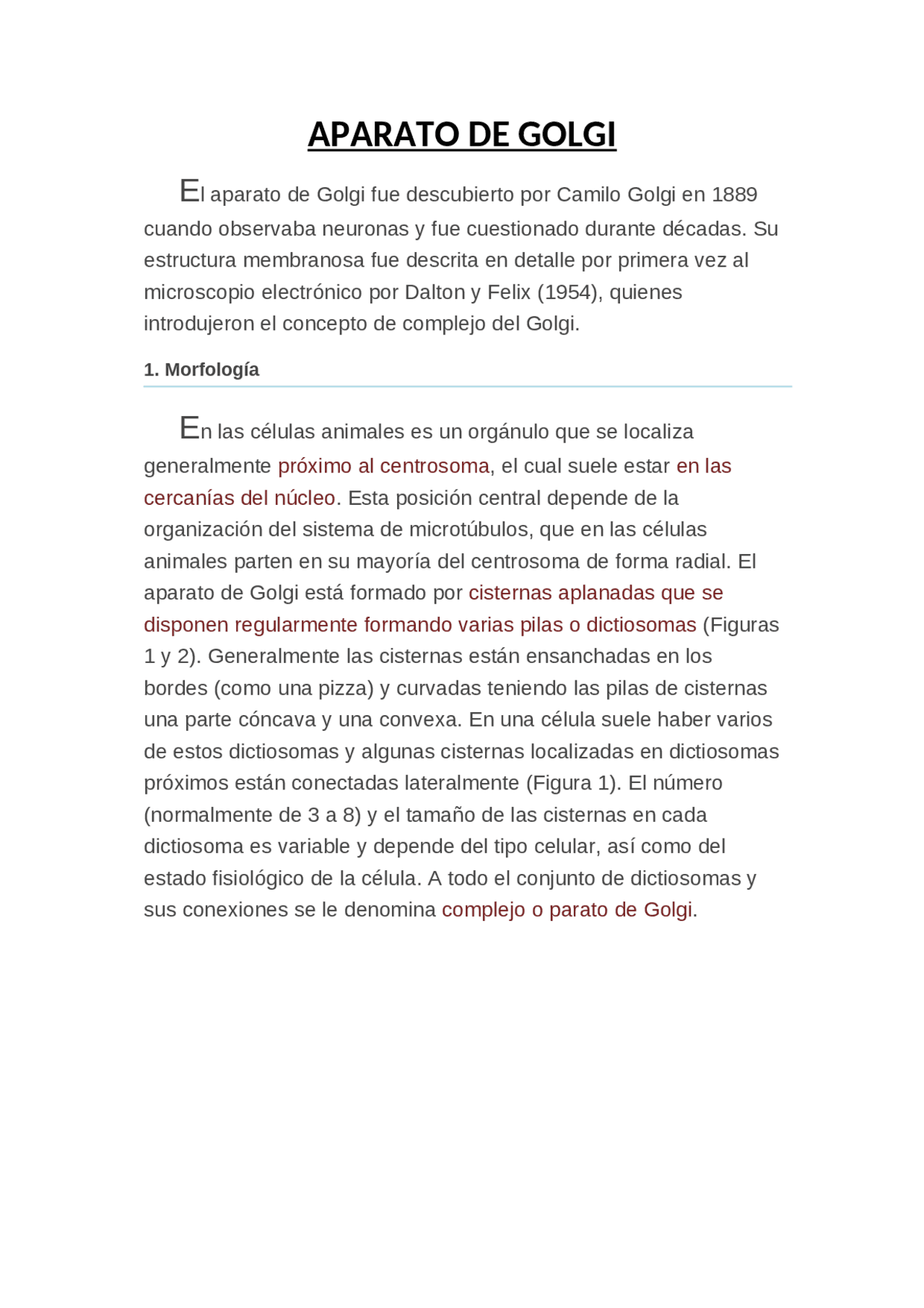Funciones del aparato de Golgi además de sus características y ...