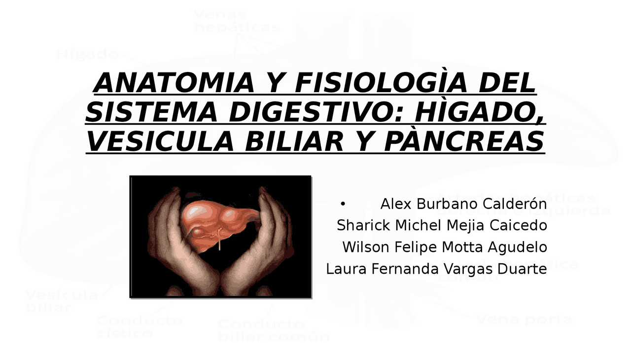 Hígado y vesicula biliar y pancreas | Esquemas y mapas conceptuales de ...