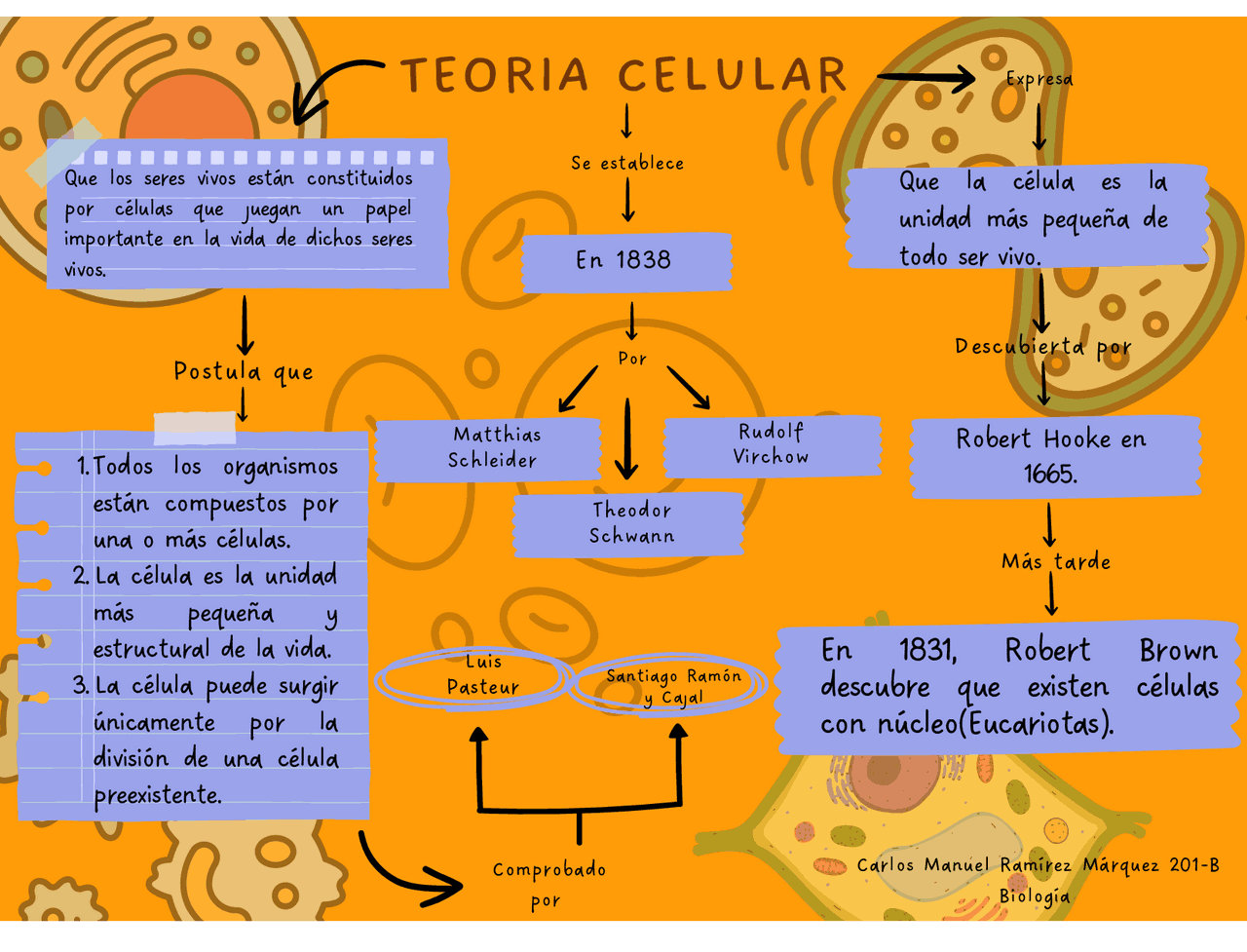 Mapa conceptual de la Teoria celular | Esquemas y mapas conceptuales de