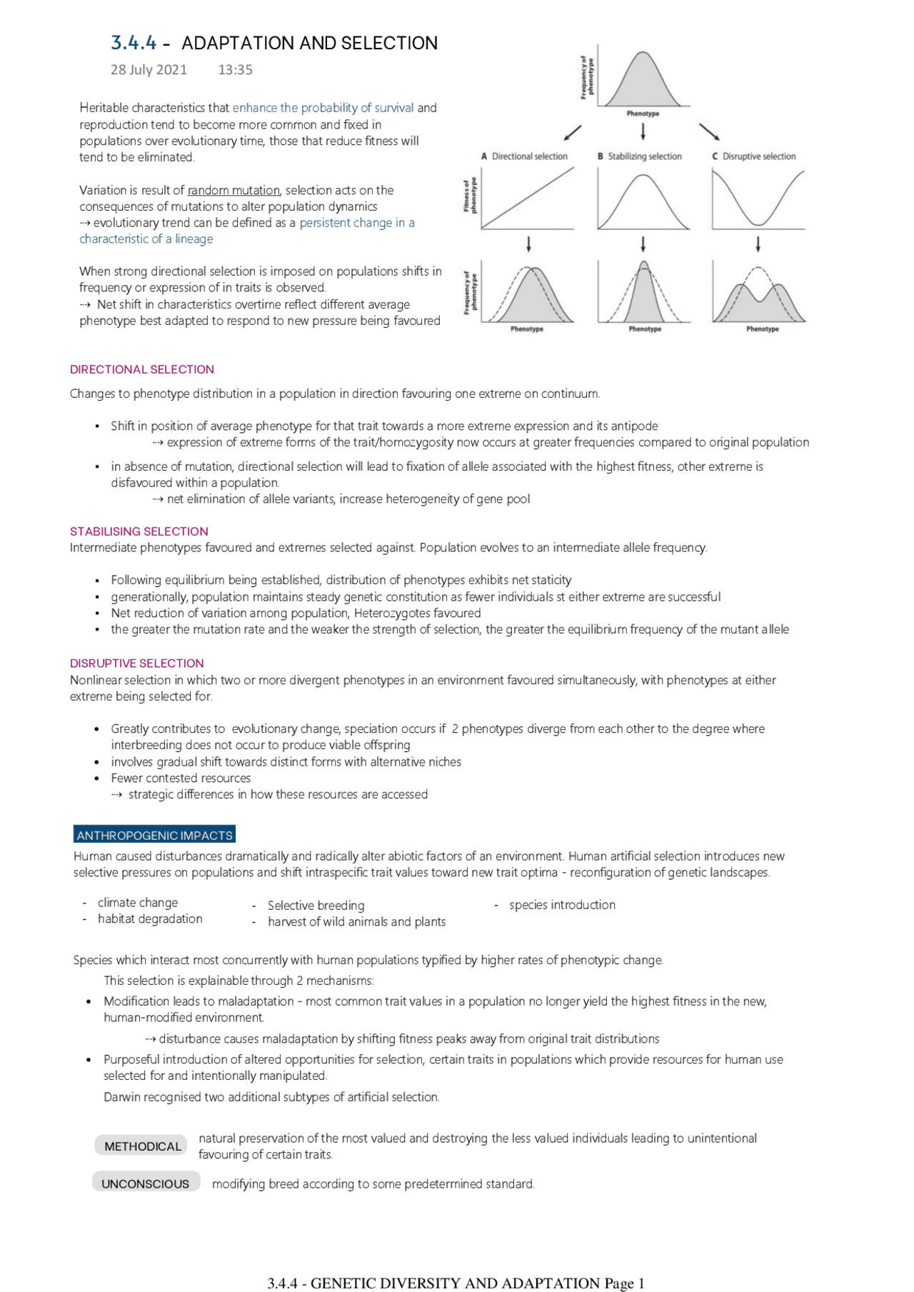 Summary Topic 4 - Genetic diversity, variation / AQA A-level Biology 3. ...