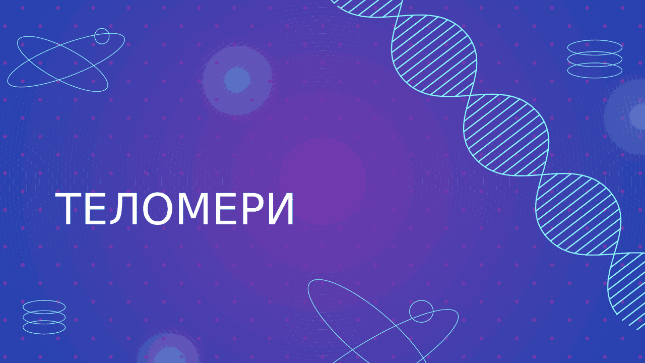 Теломери презентація | Презентации Биохимия | Docsity