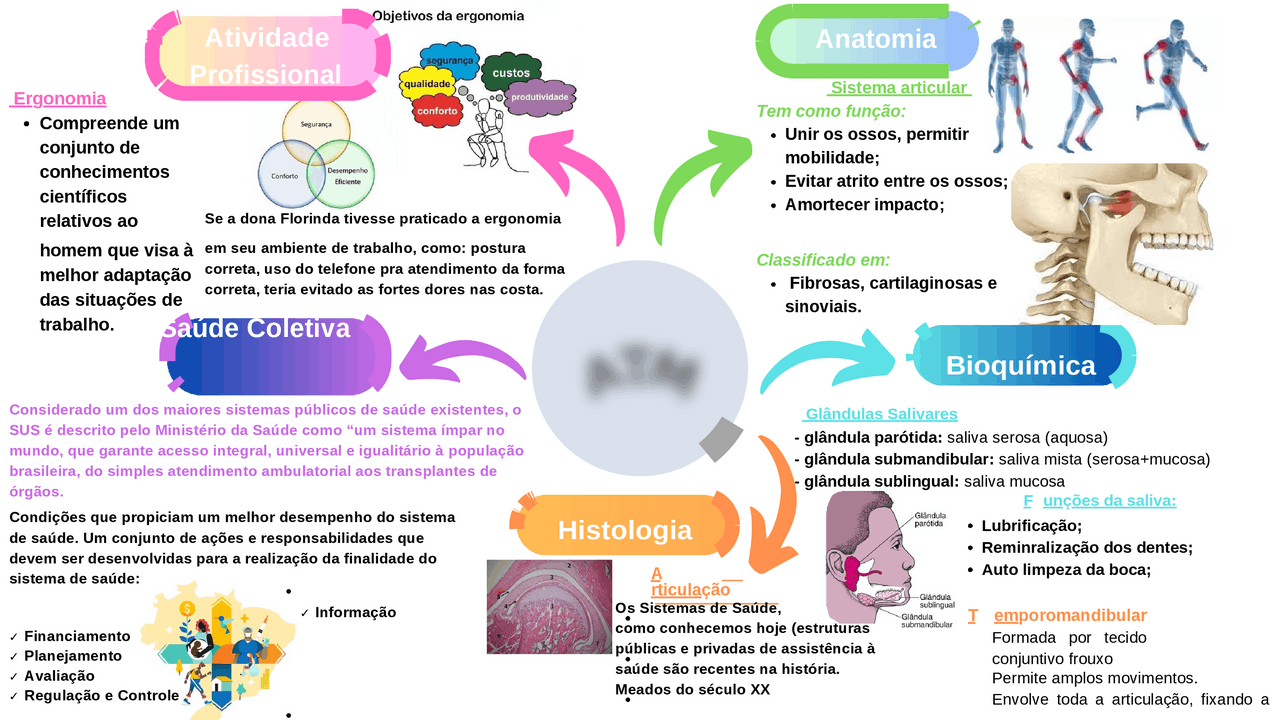MAPA MENTAL PARA ESTUDOS | Resumos Biologia | Docsity