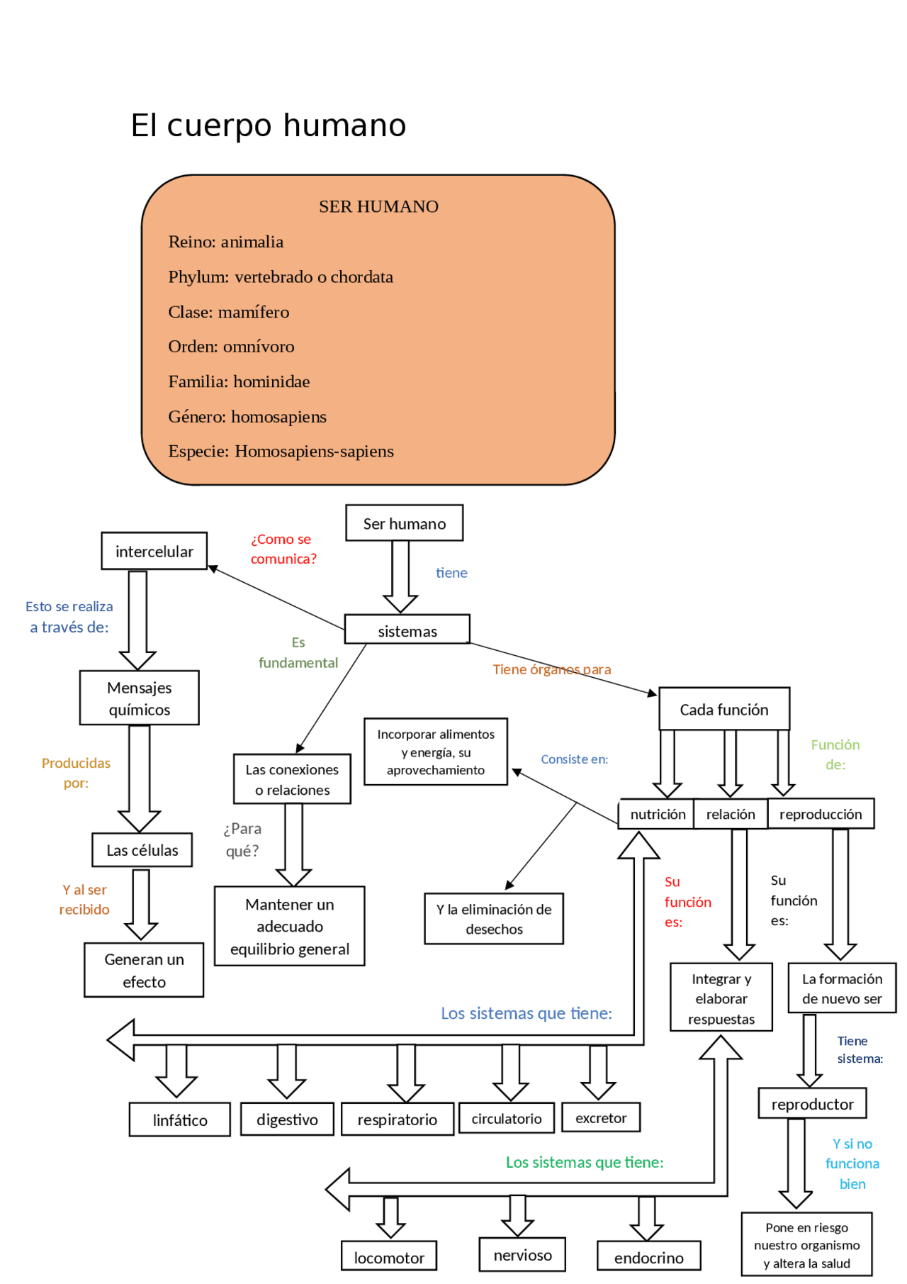 El cuerpo humano con mucha informacion | Esquemas y mapas conceptuales ...
