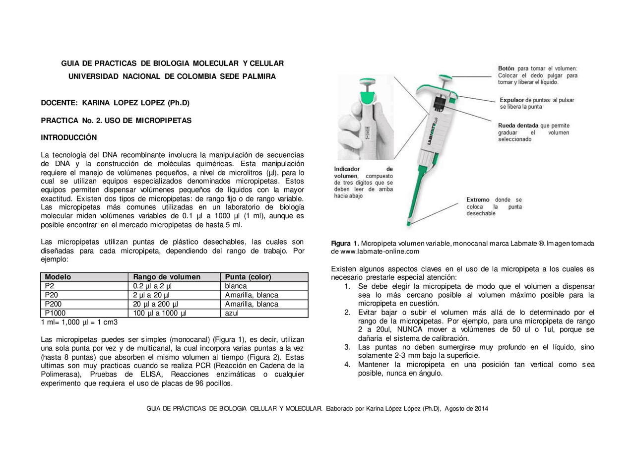 Practica del uso correcto de micropipetas | Esquemas y mapas