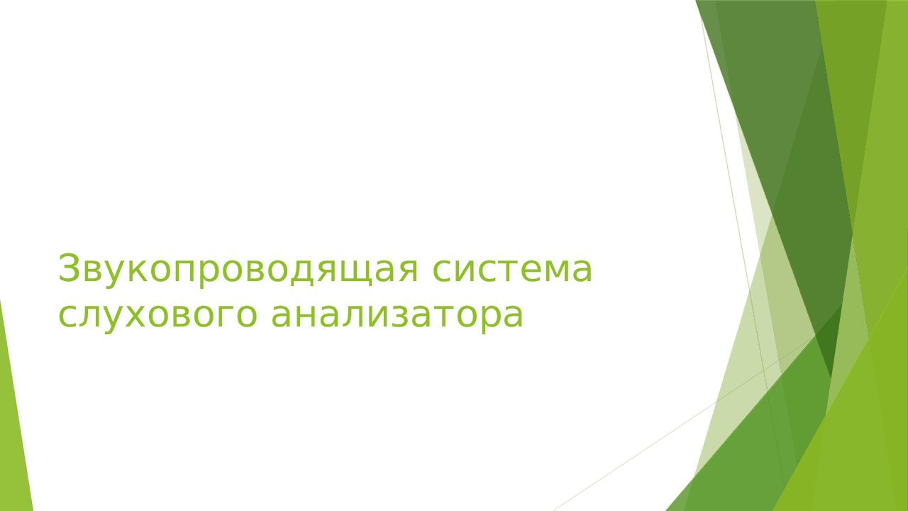 Звукопроводящая система слухового анализатора | Схемы ...