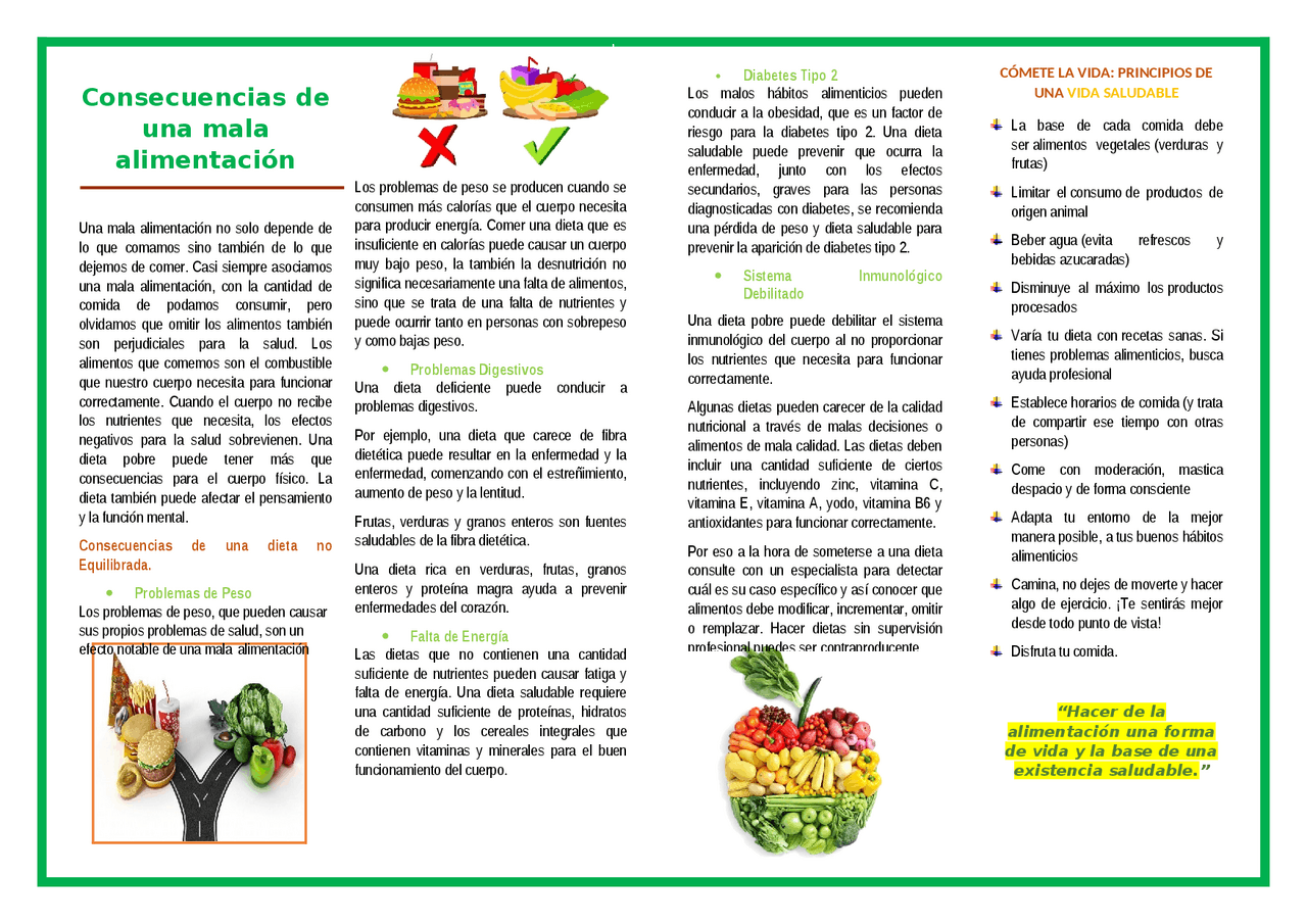 Folleto De Alimentos Saludables