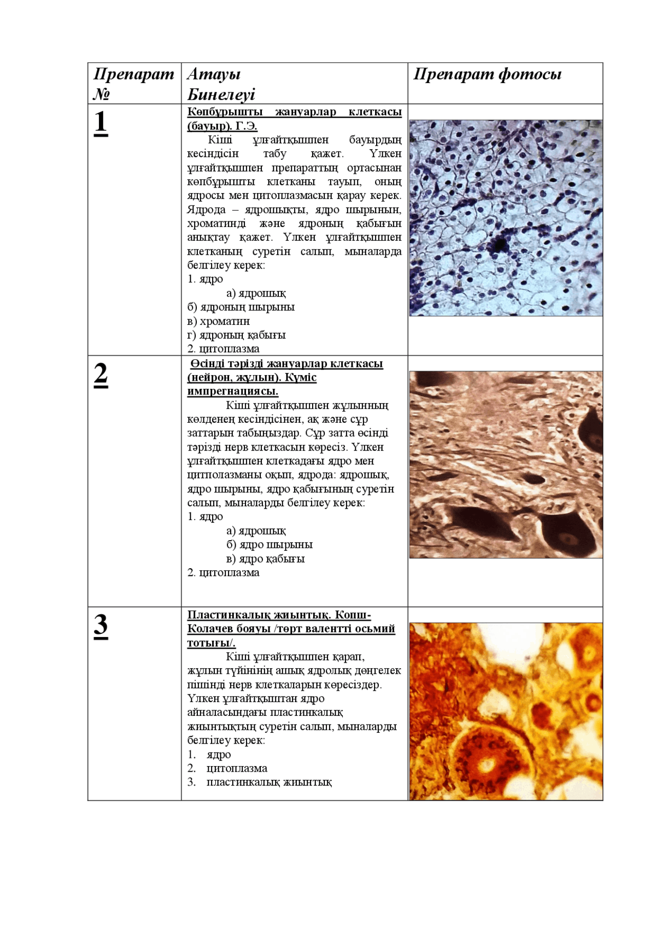 Интернетте сюжеті бар «Әке-қызы» порно фильмін қараңыз