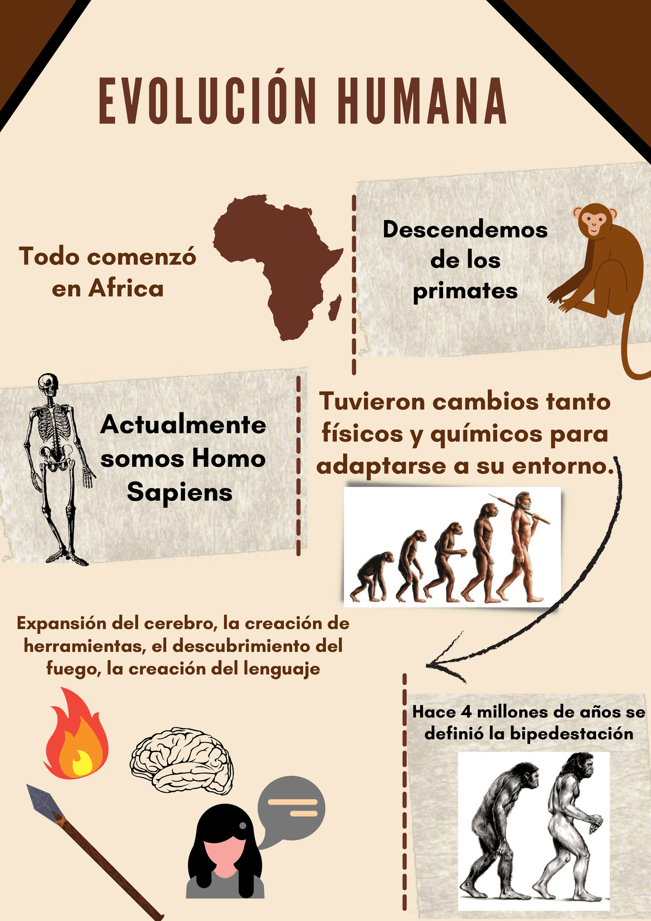Evoluci n humana resumen Apuntes - 3110addfbfef82ccfc1332e19888839e 
